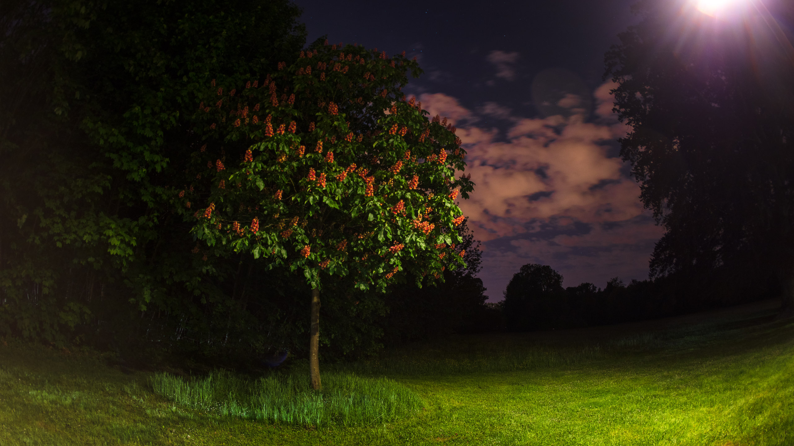 20220508000440 DP017492